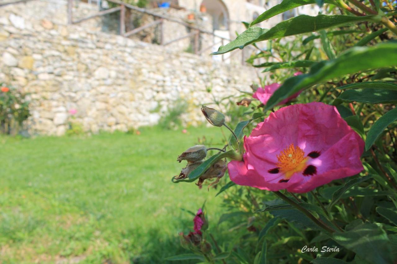 B&B Rubando Le Nuvole Orco Feglino Exterior foto